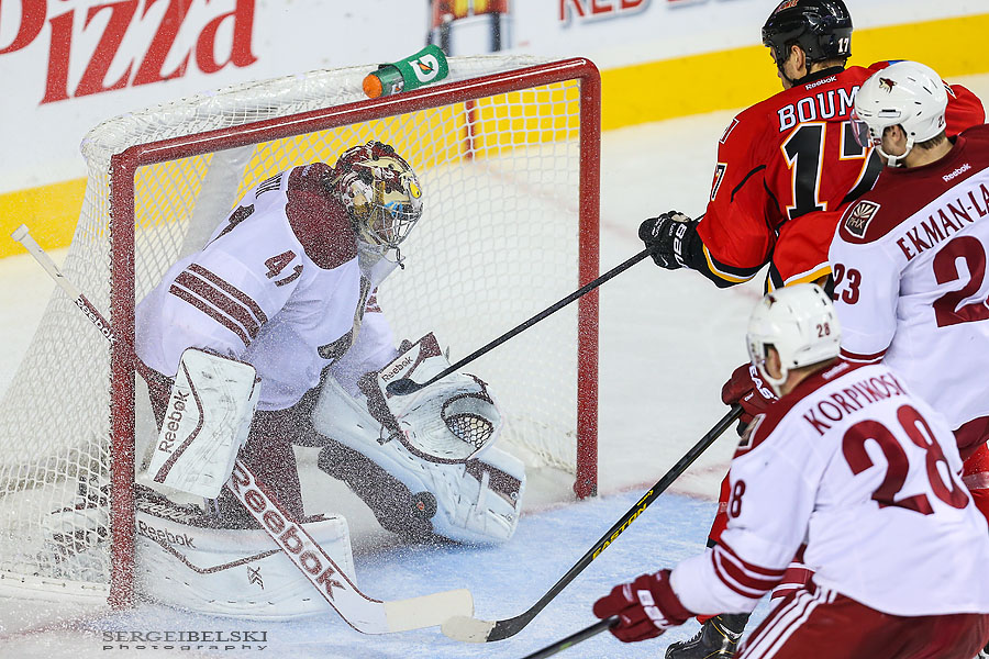 nhl hockey calgary flames vs phoenix coyotes sergei belski photo