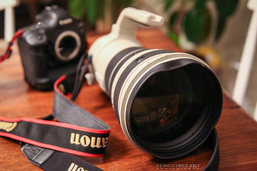 nhl hockey calgary flames vs washington capitals sergei belski photo