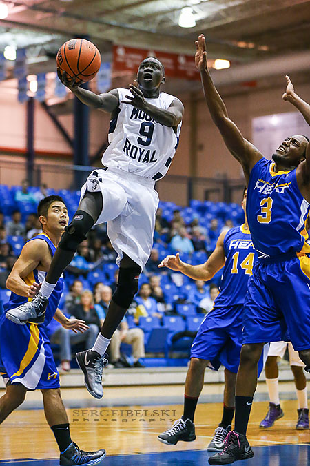 mount royal university basketball sergei belski photo