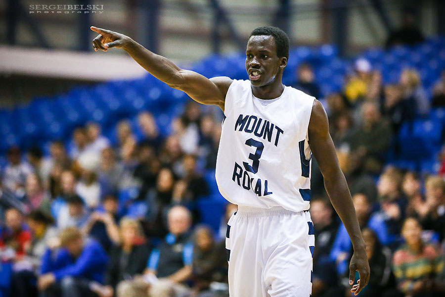 mount royal university basketball sergei belski photo
