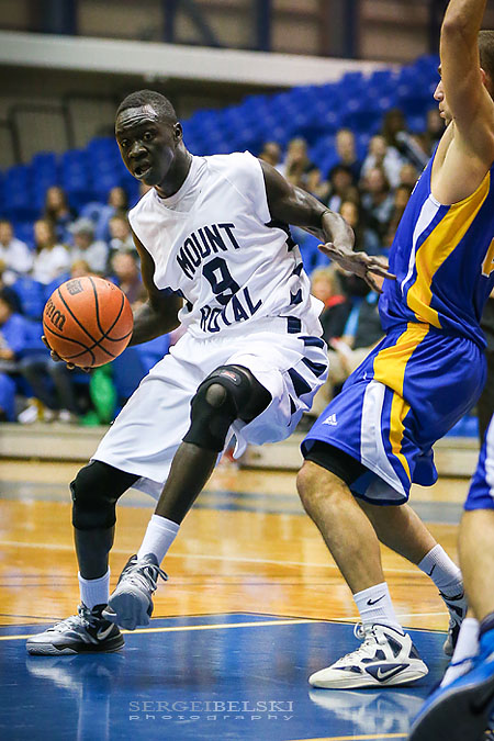 mount royal university basketball sergei belski photo