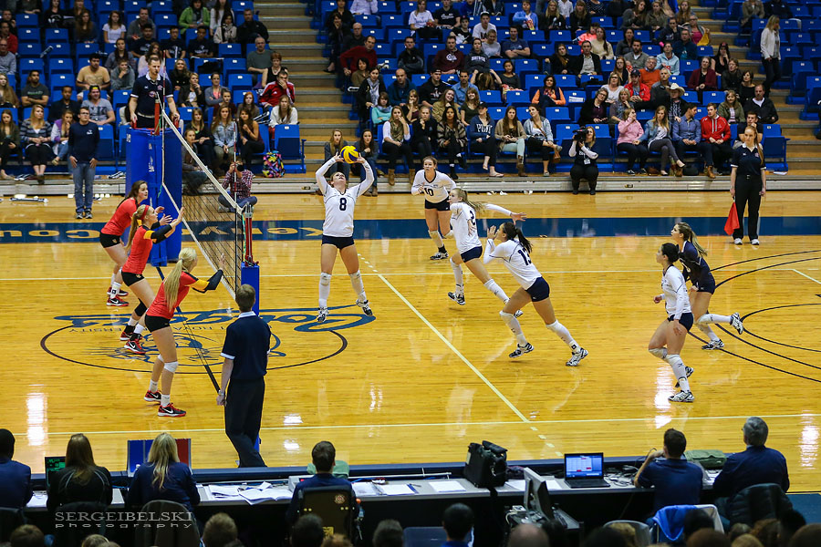 mount royal university volleyball sergei belski photo