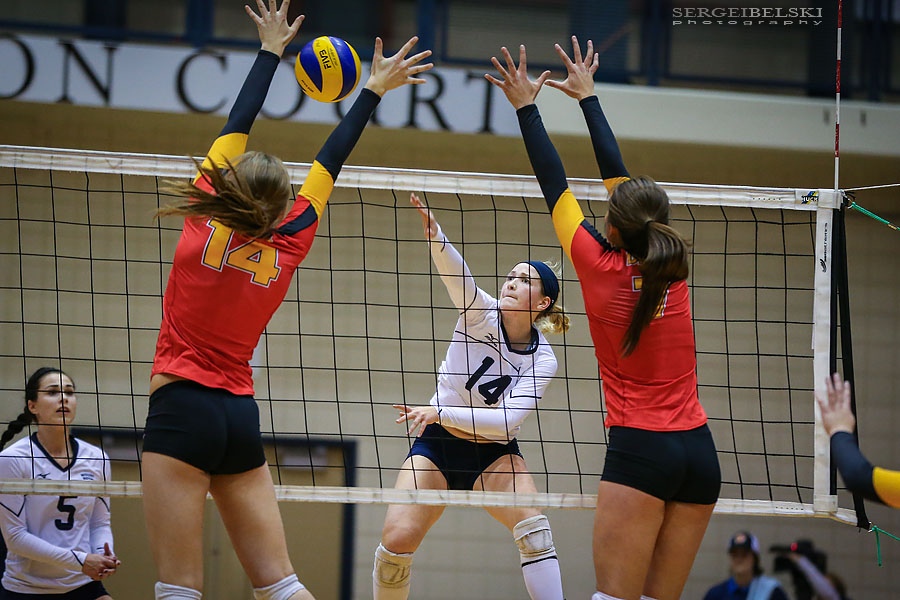 mount royal university volleyball sergei belski photo