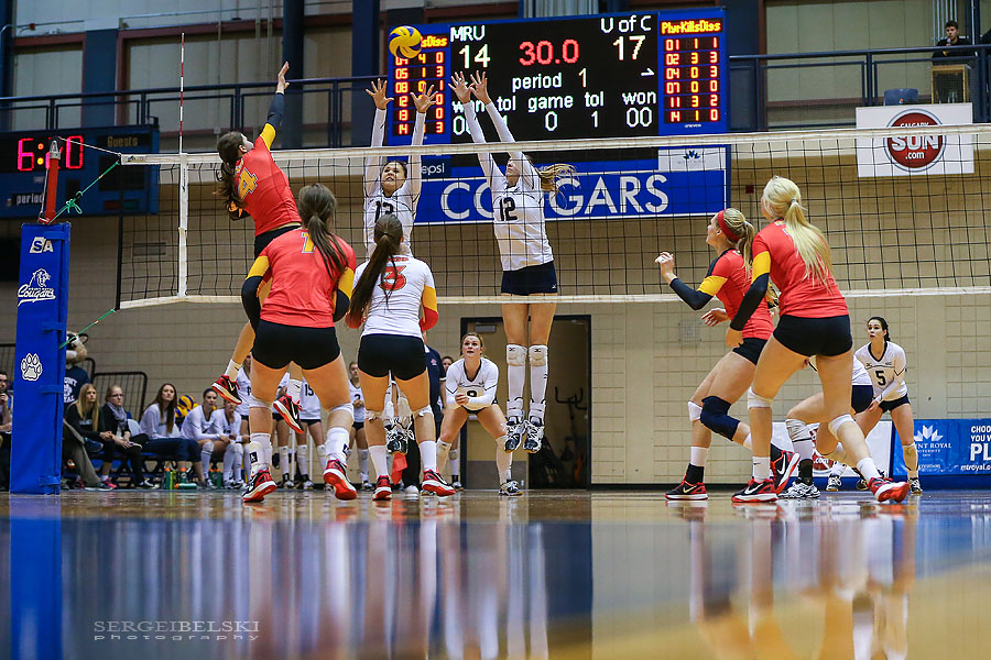 mount royal university volleyball sergei belski photo