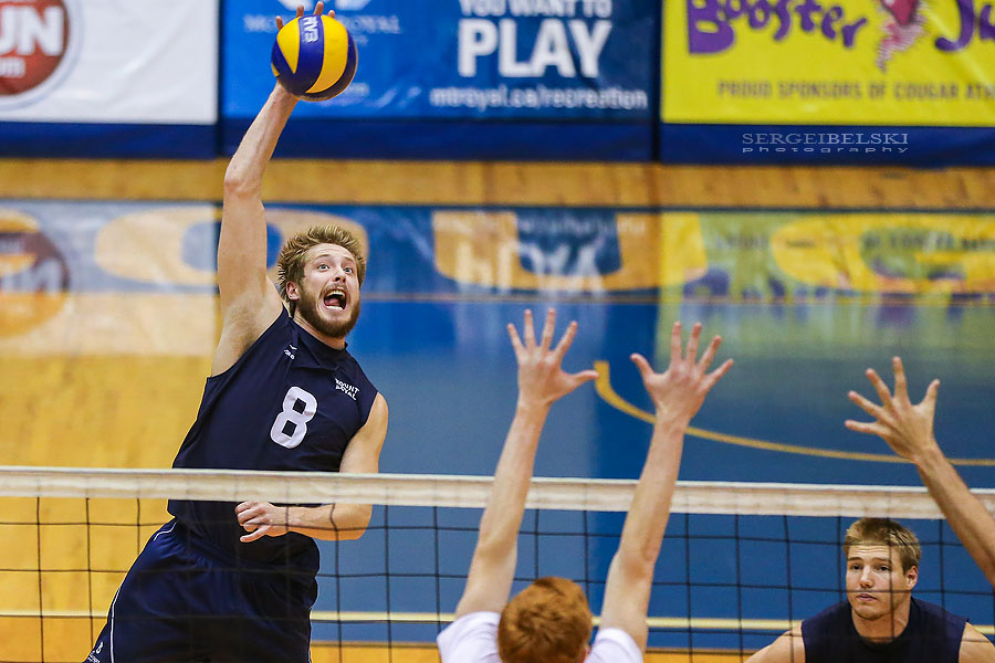 mount royal university volleyball sergei belski photo
