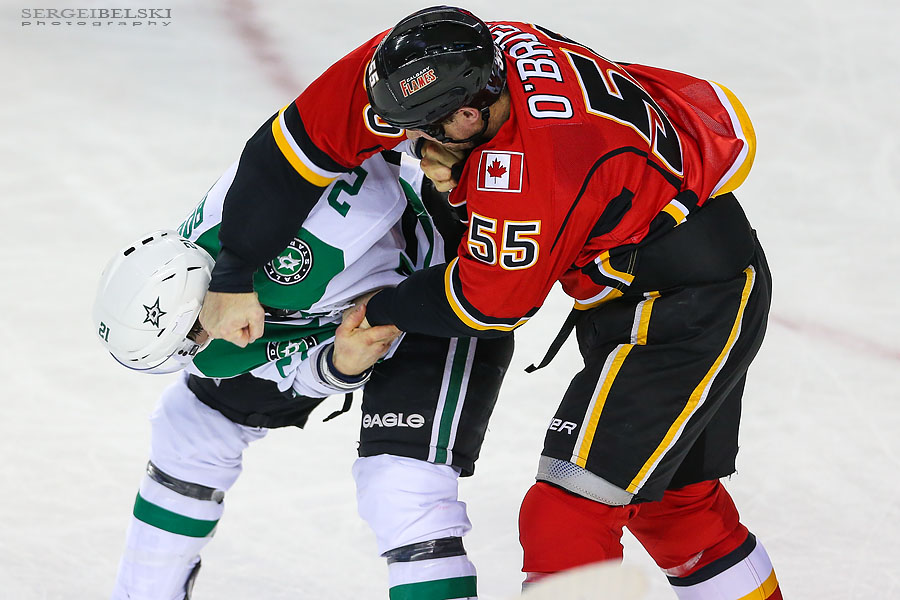 nhl hockey calgary flames vs dallas stars sergei belski photo