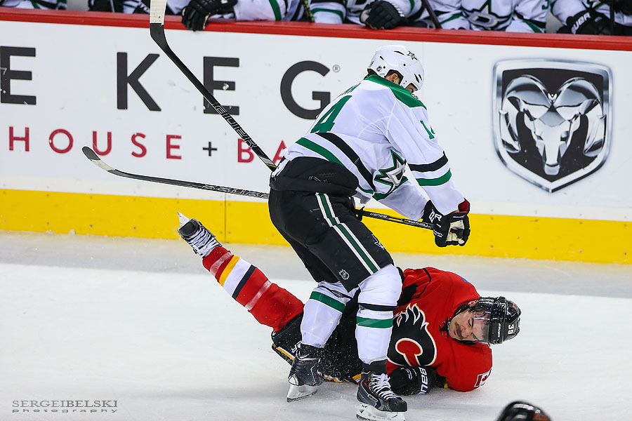 nhl hockey calgary flames vs dallas stars sergei belski photo