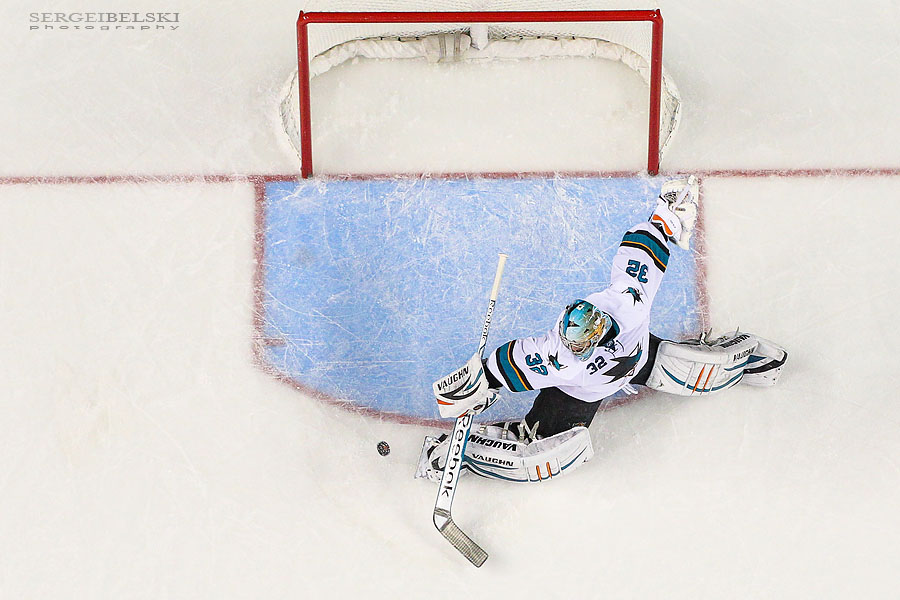 nhl hockey calgary flames vs san jose sharks sergei belski photo