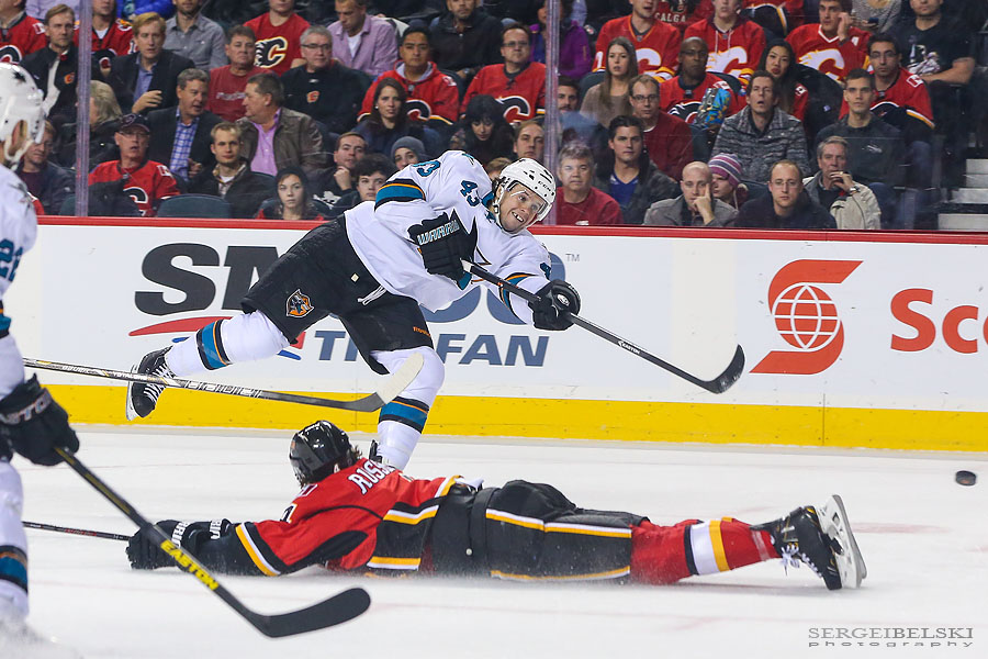 nhl hockey calgary flames vs san jose sharks sergei belski photo