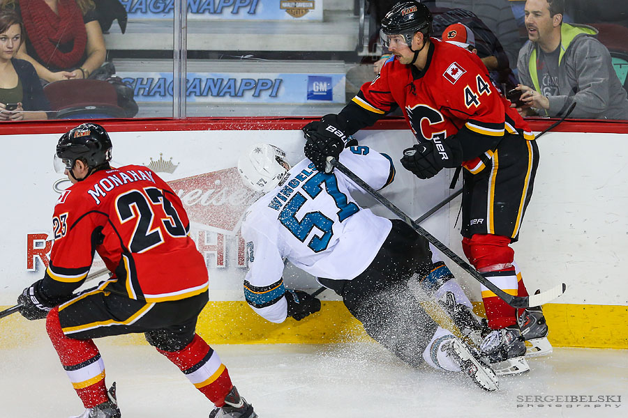 nhl hockey calgary flames vs san jose sharks sergei belski photo