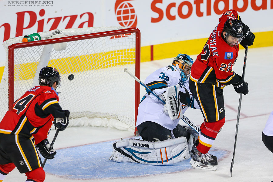 nhl hockey calgary flames vs san jose sharks sergei belski photo