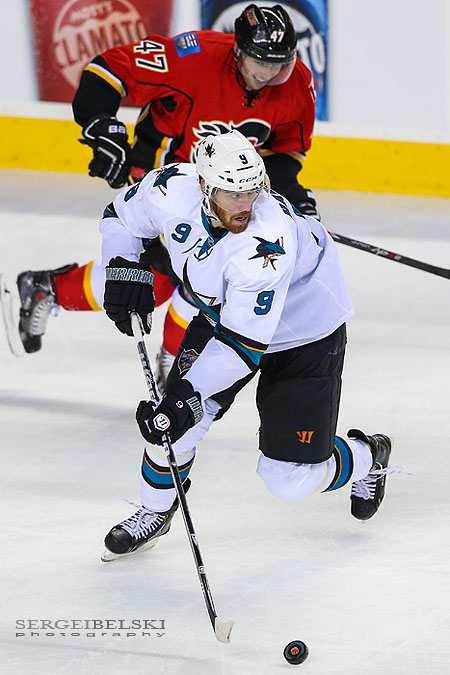 nhl hockey calgary flames vs san jose sharks sergei belski photo