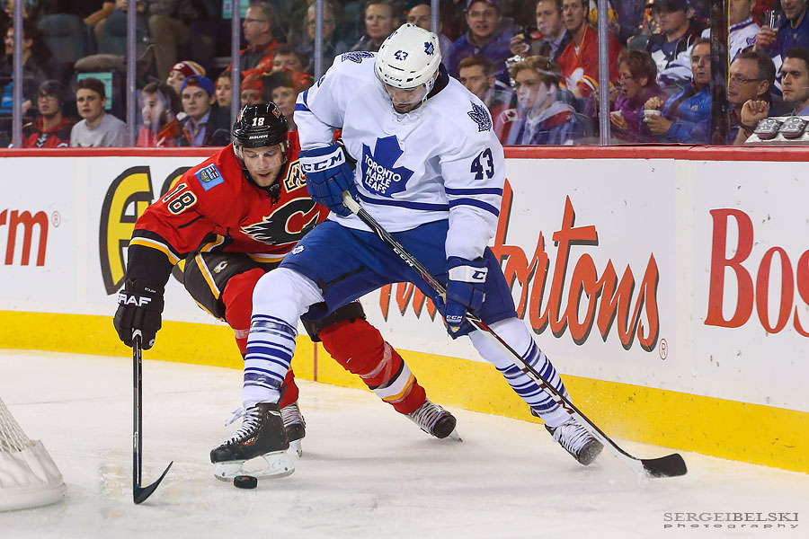 nhl hockey calgary flames vs toronto maple leafs sergei belski photo