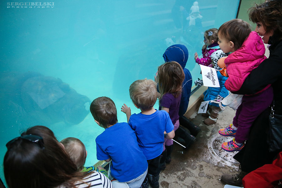 calgary event photographer sergei belski photo