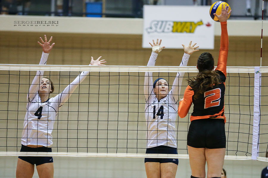 mount royal university volleyball sergei belski photo