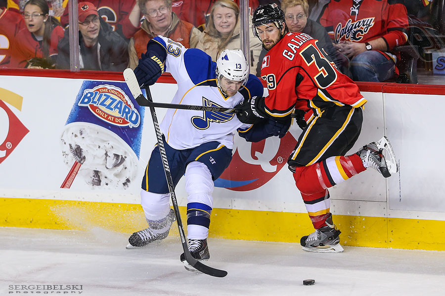 nhl hockey calgary flames vs st.louis blues sergei belski photo