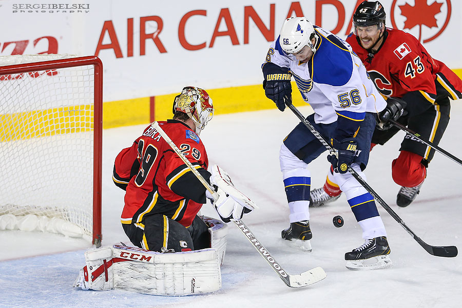 nhl hockey calgary flames vs st.louis blues sergei belski photo