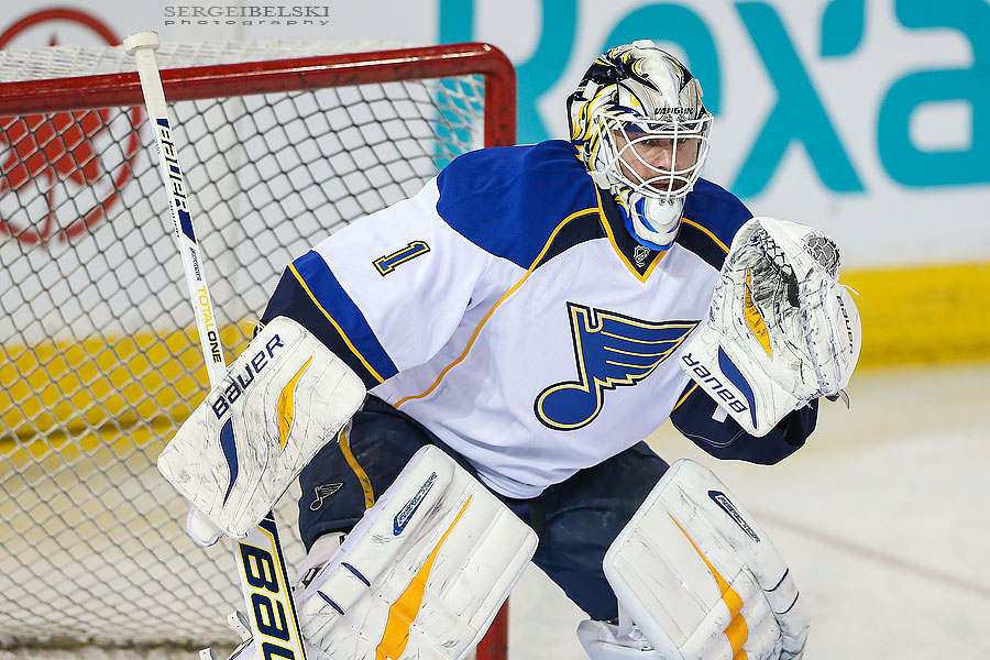 nhl hockey edmonton oilers vs st.louise blues sergei belski photo