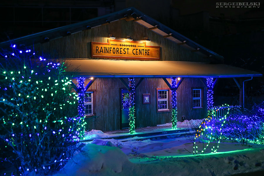 zoo christmas lights event photographer sergei belski photo