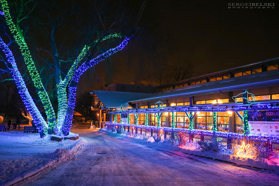 zoo christmas lights event photographer sergei belski photo