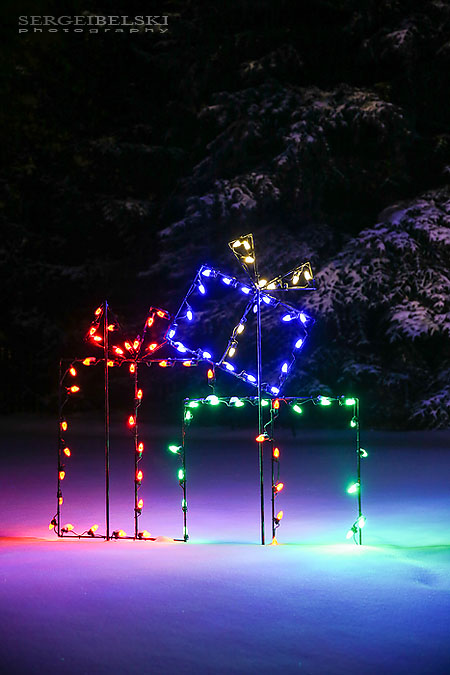 zoo christmas lights event photographer sergei belski photo