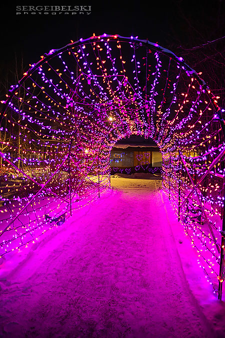 zoo christmas lights event photographer sergei belski photo