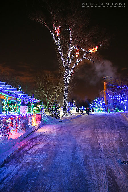 zoo christmas lights event photographer sergei belski photo