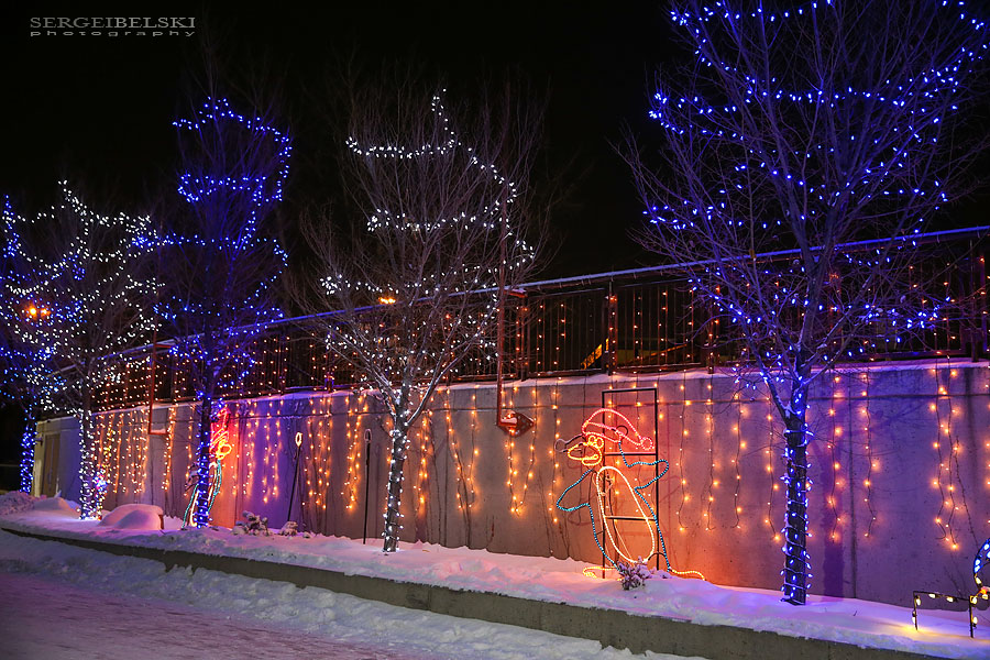 zoo christmas lights event photographer sergei belski photo