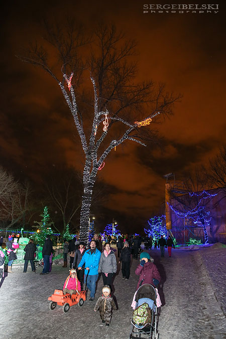 calgary event photographer sergei belski photo