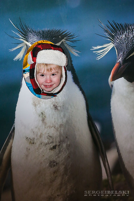 calgary event photographer sergei belski photo