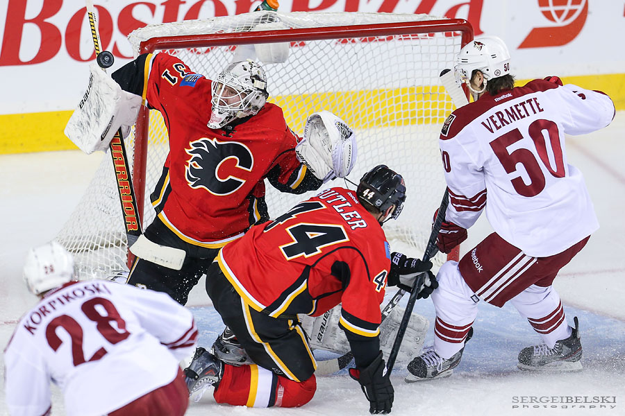 nhl hockey calgary flames vs phoenix coyotes sergei belski photo