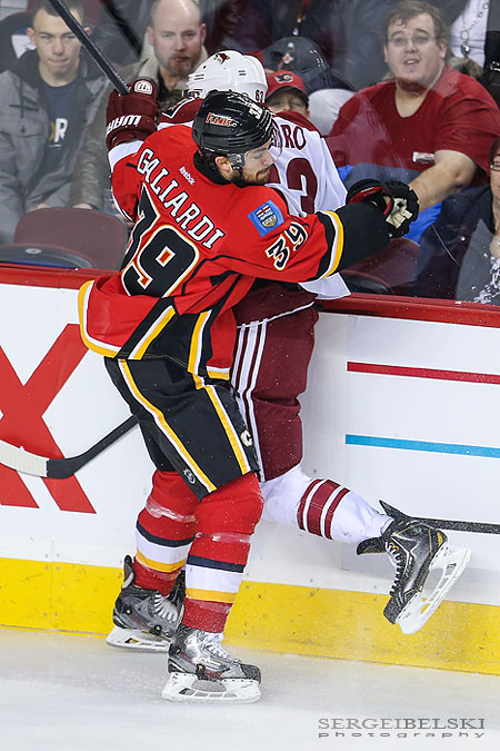nhl hockey calgary flames vs phoenix coyotes sergei belski photo