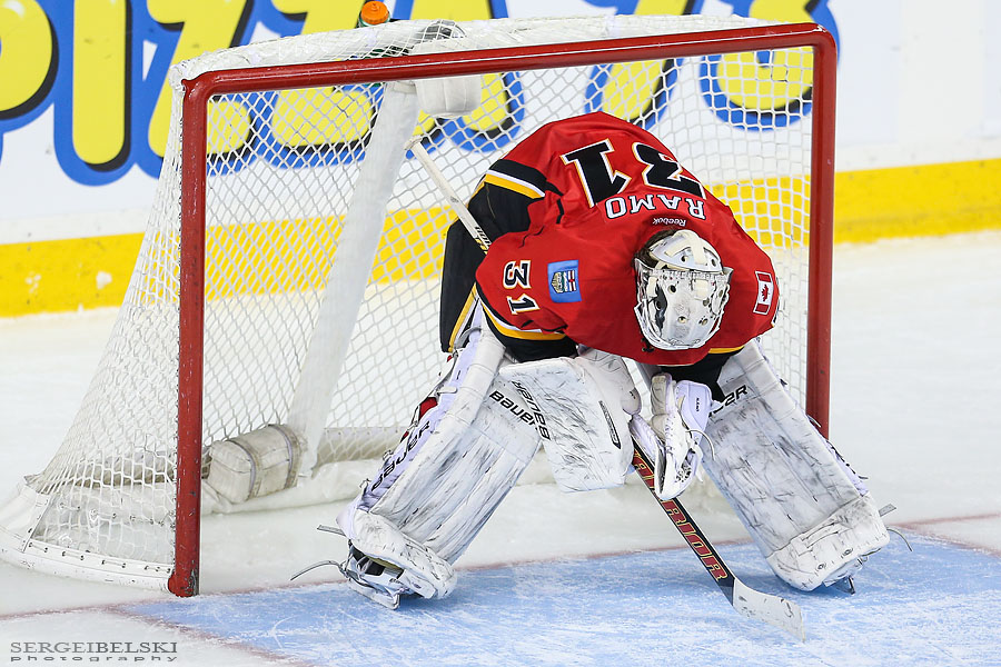nhl hockey calgary flames vs phoenix coyotes sergei belski photo