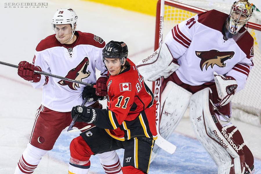 nhl hockey calgary flames vs phoenix coyotes sergei belski photo