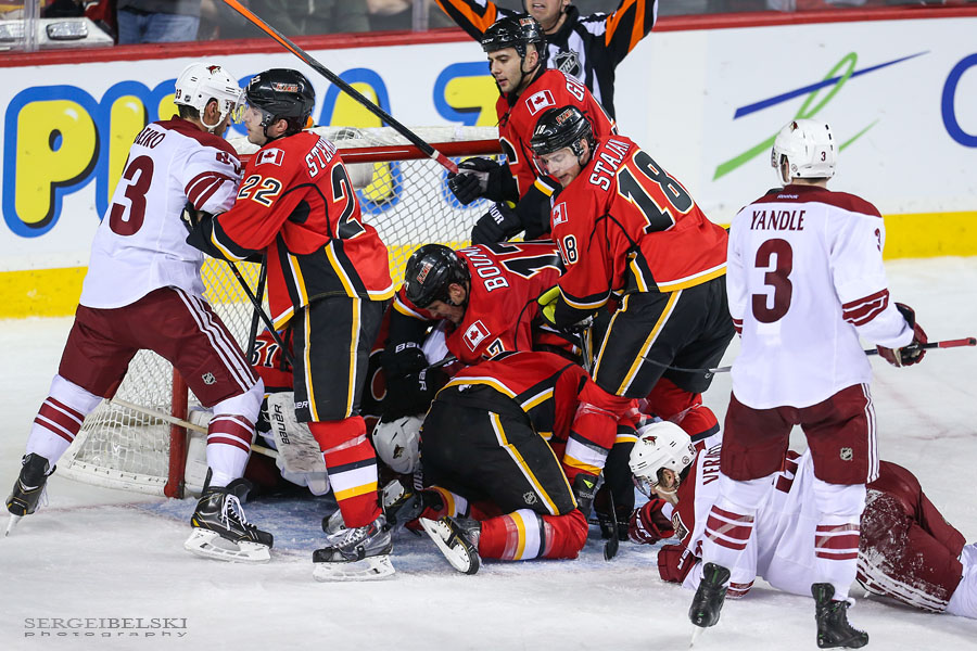nhl hockey calgary flames vs phoenix coyotes sergei belski photo