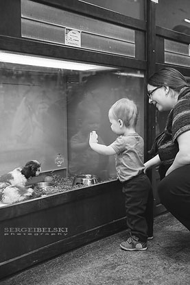 family trip to edmonton sergei belski photo