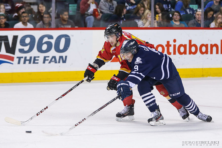 mru hockey sergei belski photo