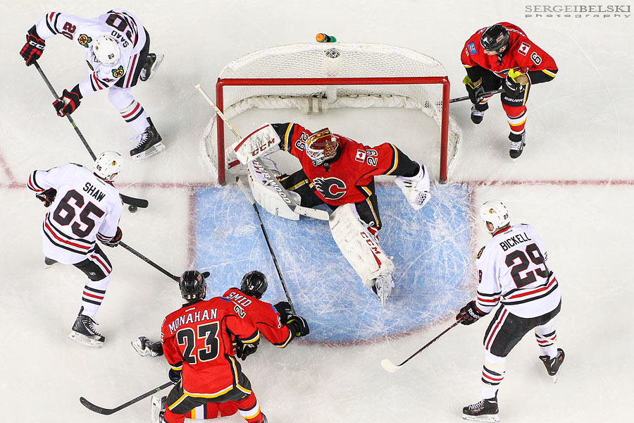 nhl hockey calgary flames sports photographer sergei belski photo