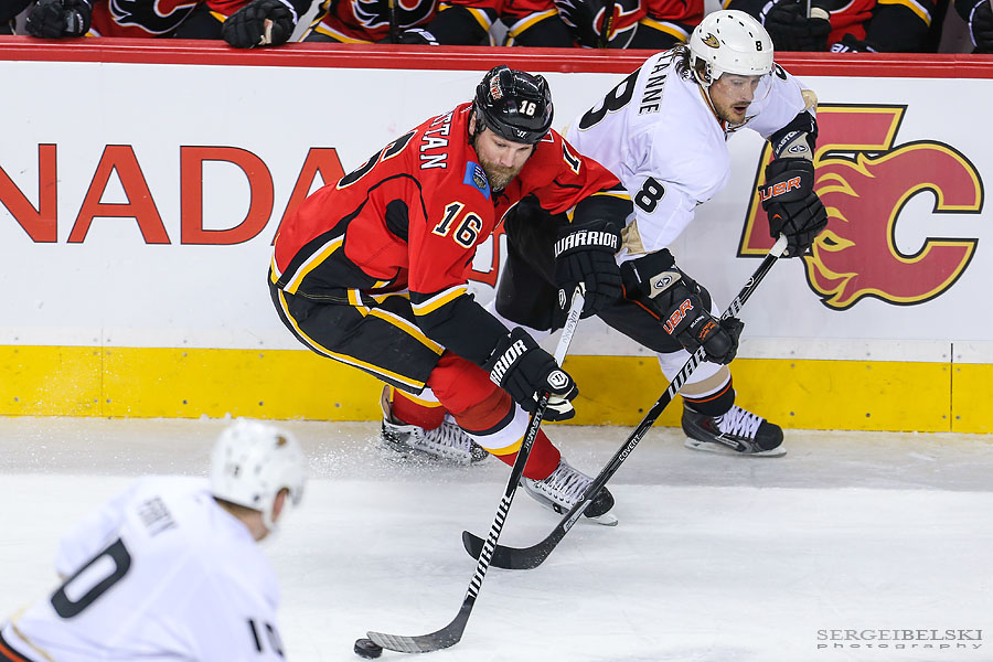 nhl hockey calgary flames sports photographer sergei belski photo