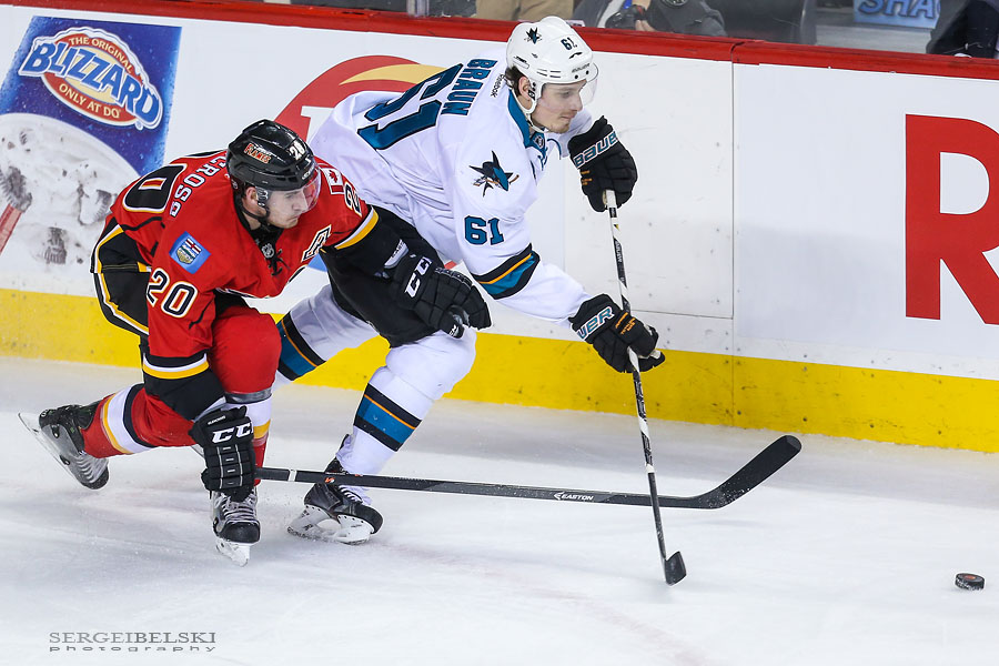 nhl hockey calgary flames sports photographer sergei belski photo