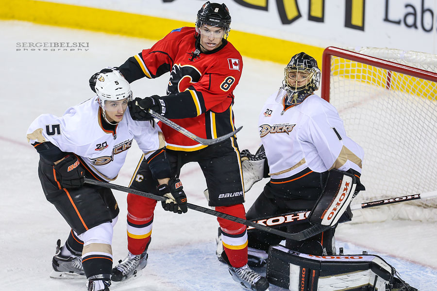 nhl hockey calgary flames sports photographer sergei belski photo