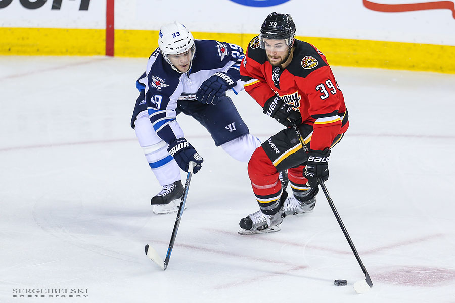 nhl hockey calgary flames sports photographer sergei belski photo