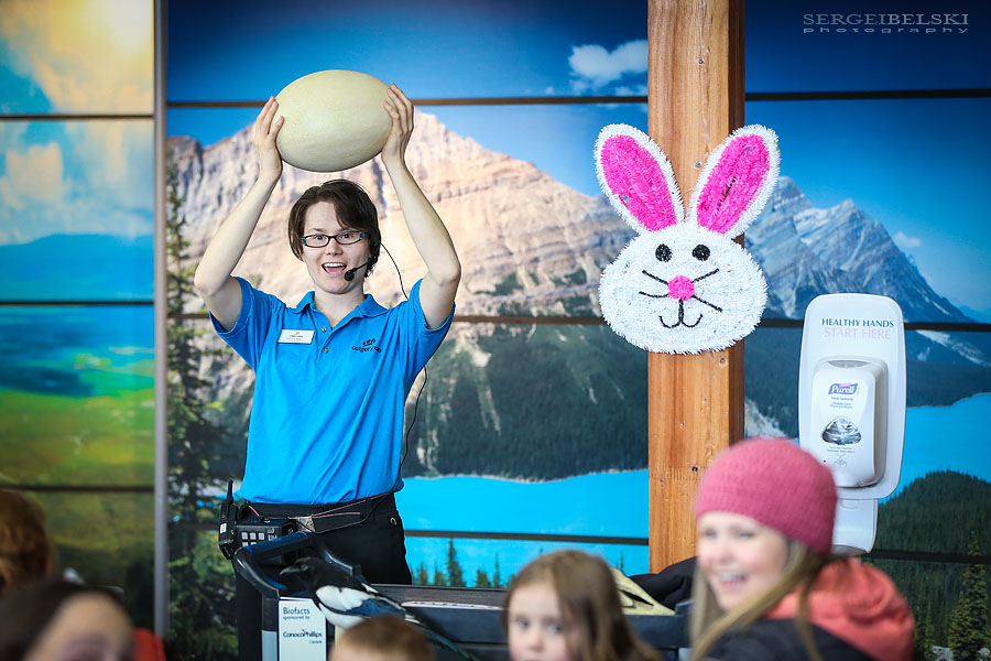 calgary zoo event photographer sergei belski photo