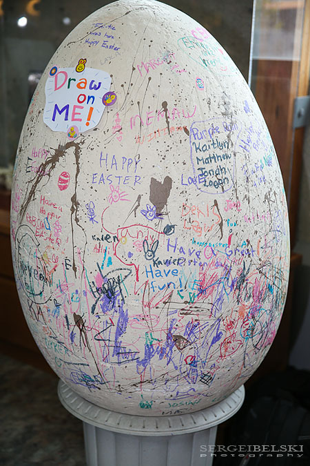 calgary zoo event photographer sergei belski photo