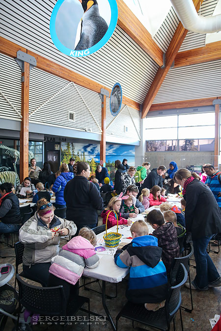 calgary zoo event photographer sergei belski photo