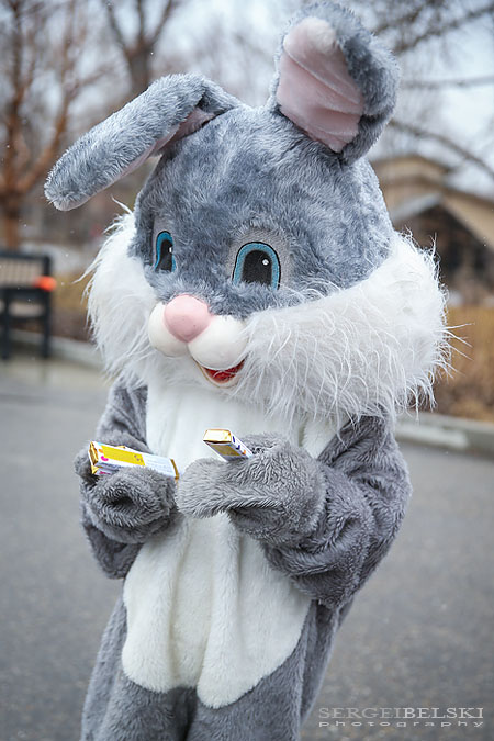 calgary zoo event photographer sergei belski photo