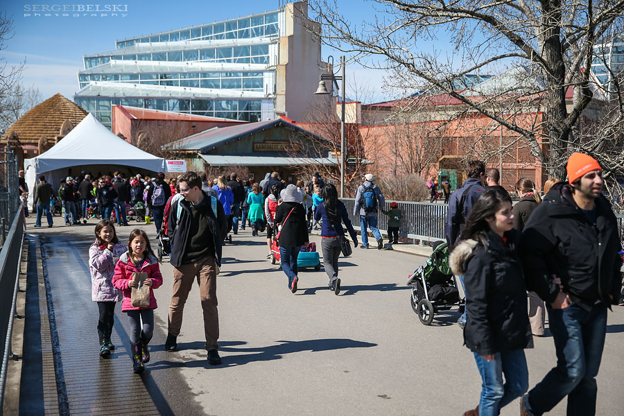 calgary zoo event photographer sergei belski photo