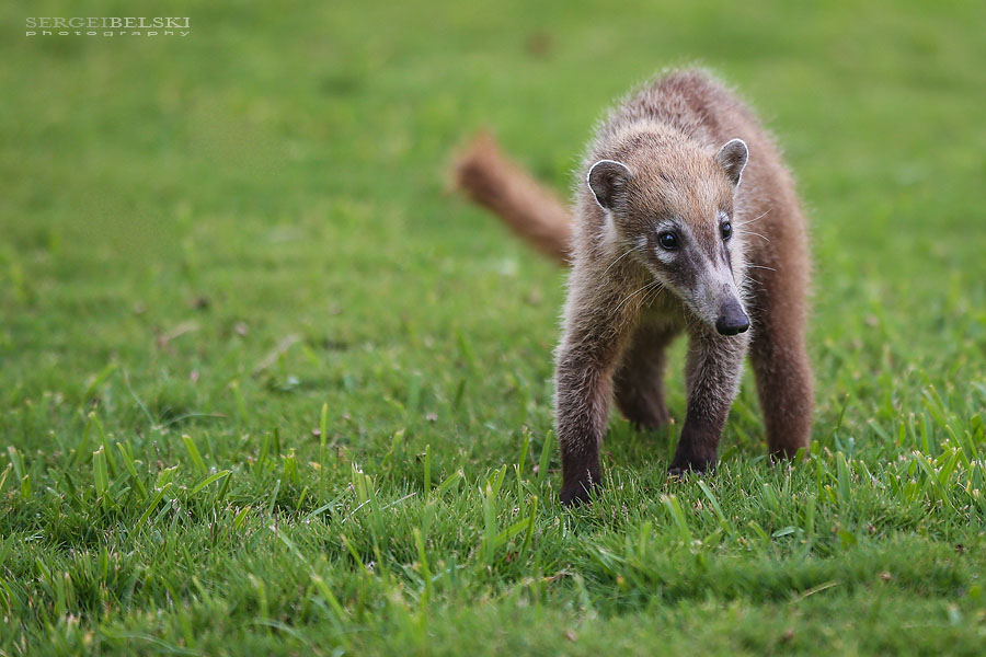 mexico family vacation travel photographer sergei belski photo