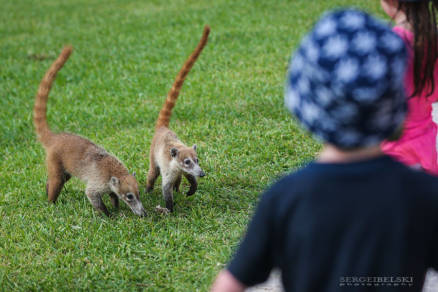 mexico family vacation travel photographer sergei belski photo