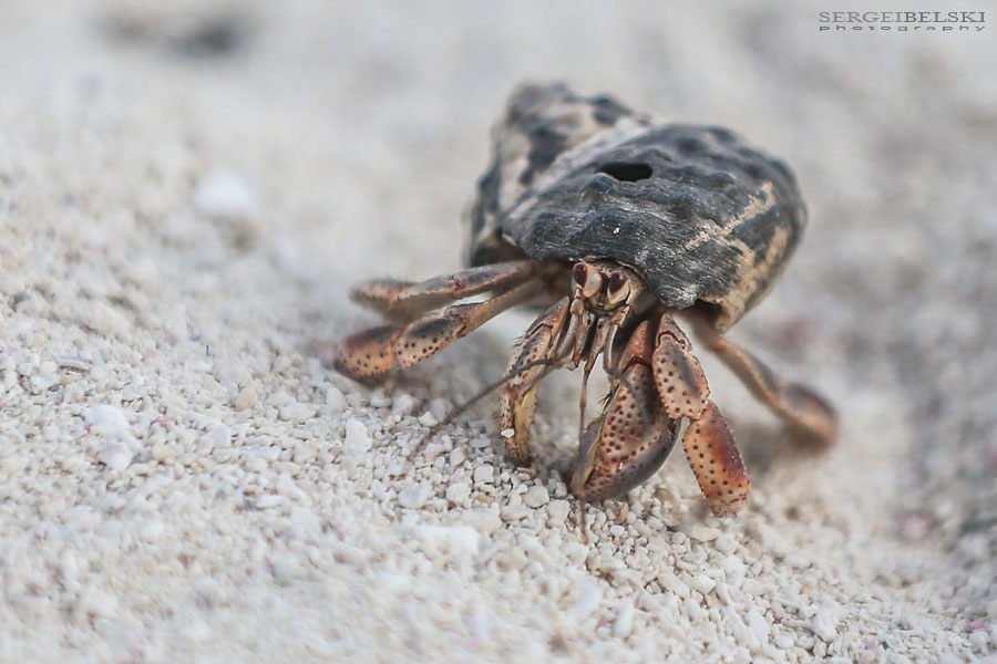 mexico family vacation travel photographer sergei belski photo